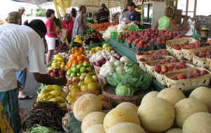 OC Fairgrounds Farmer's Market