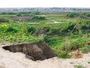 Talbert Nature preserve Costa Mesa scenic view