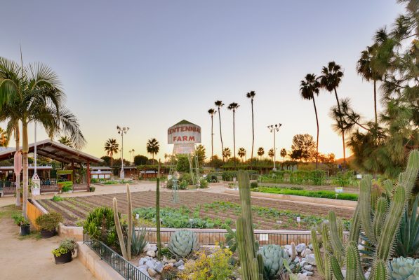 5 agritourism spots in Costa Mesa
