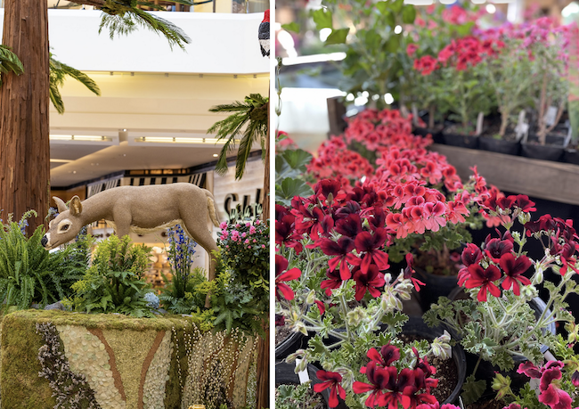 Why South Coast Plaza is the West Coast's Best Destination for Shopping -  Travel Costa Mesa