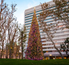 South Coast Plaza Annual Christmas Holiday Tree Lighting Ceremony