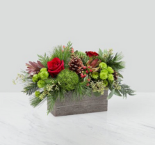 Centennial Farm Workshop: Make It, Take It – DIY Floral Holiday Centerpieces Session 1 at Centennial Farm