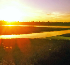 Sunset Nature Walk at COVRY