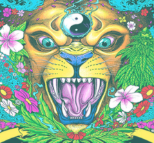 Tribal Seeds / The Expendables / Mike Love / Simpkin Project at Pacific Amphitheare Tribal Seeds / The Expendables / Mike Love / Simpkin Project at Pacific Amphitheare