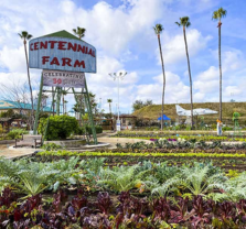 Discovery Day at Centennial Farm, Nov. 4 Discovery Day at Centennial Farm, Nov. 4