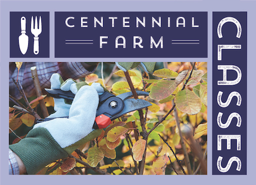 Garden Class: Pruning Fruit Trees - The Basics