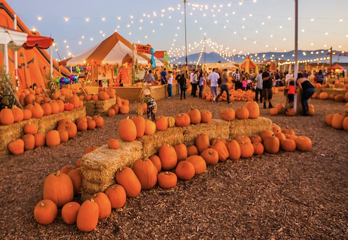 Seasonal Adventures Pumpkin Patch at OC Fair & Event Center