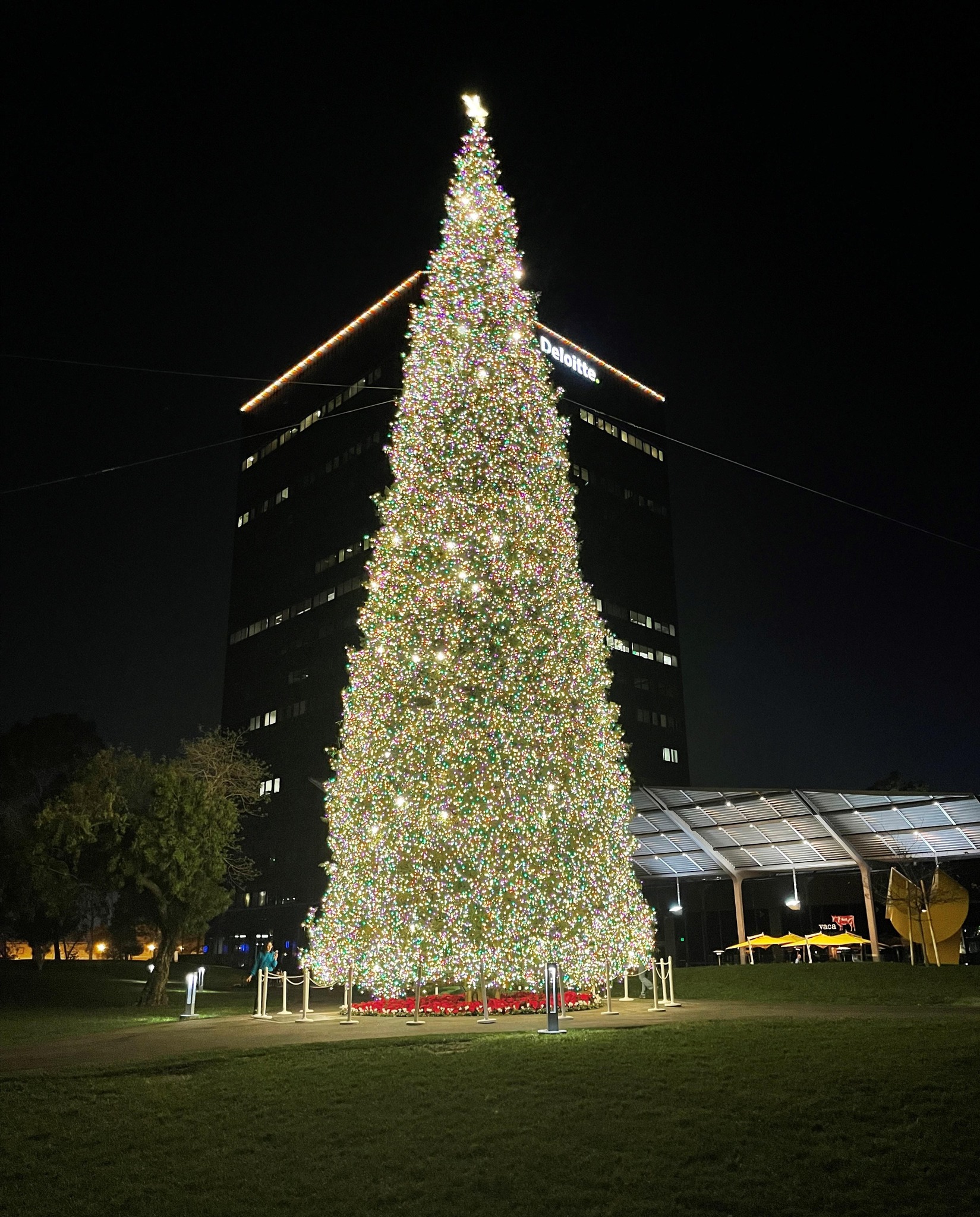 South Coast Plaza Annual Christmas Holiday Tree Lighting Ceremony