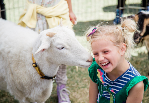 Springfest at Lions Park