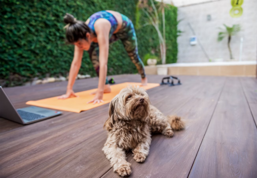 Root & Rise Yoga: Peaceful Paws at Argyros Plaza