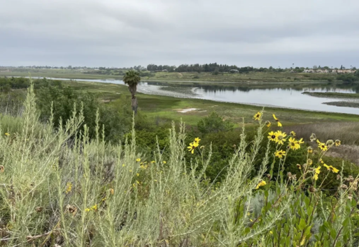 Sunset Nature Walk at COVRY